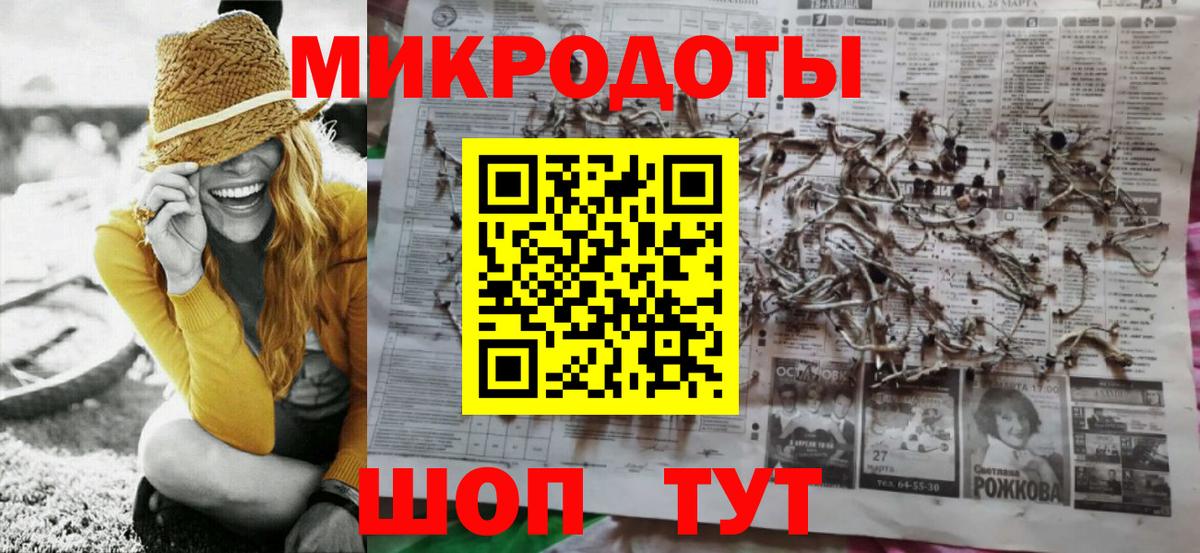 Псилоцибиновые грибы Psilocybe Торжок