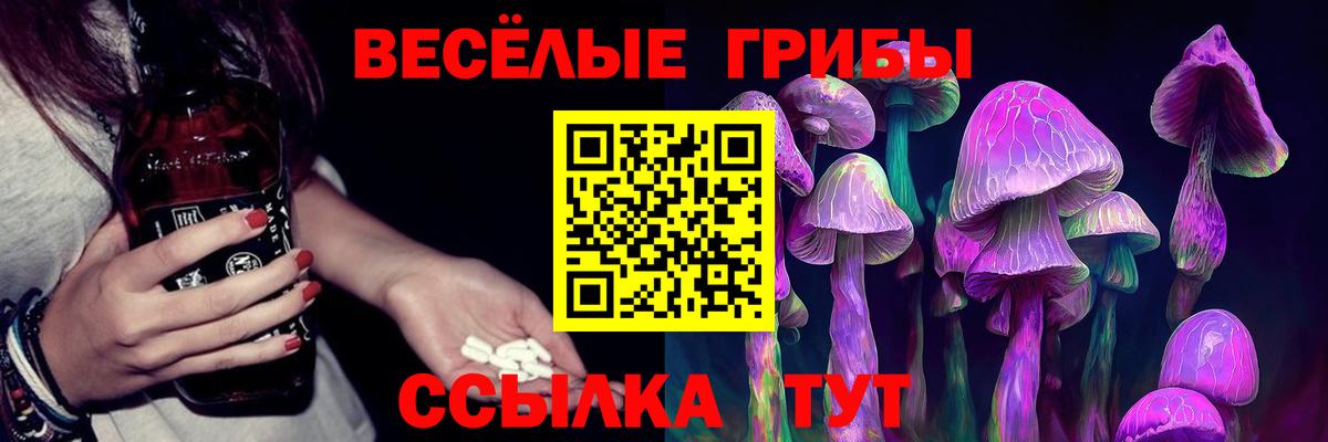 Псилоцибиновые грибы Psilocybine cubensis  Вход с VPN  Галлюциногенные грибы GOLDEN TEACHER  Торжок 